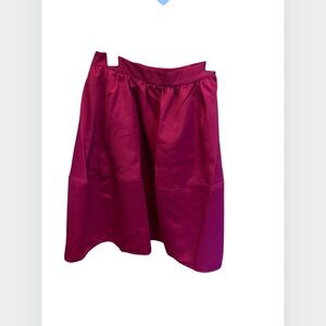 Pinkish purple fit and flare skirt